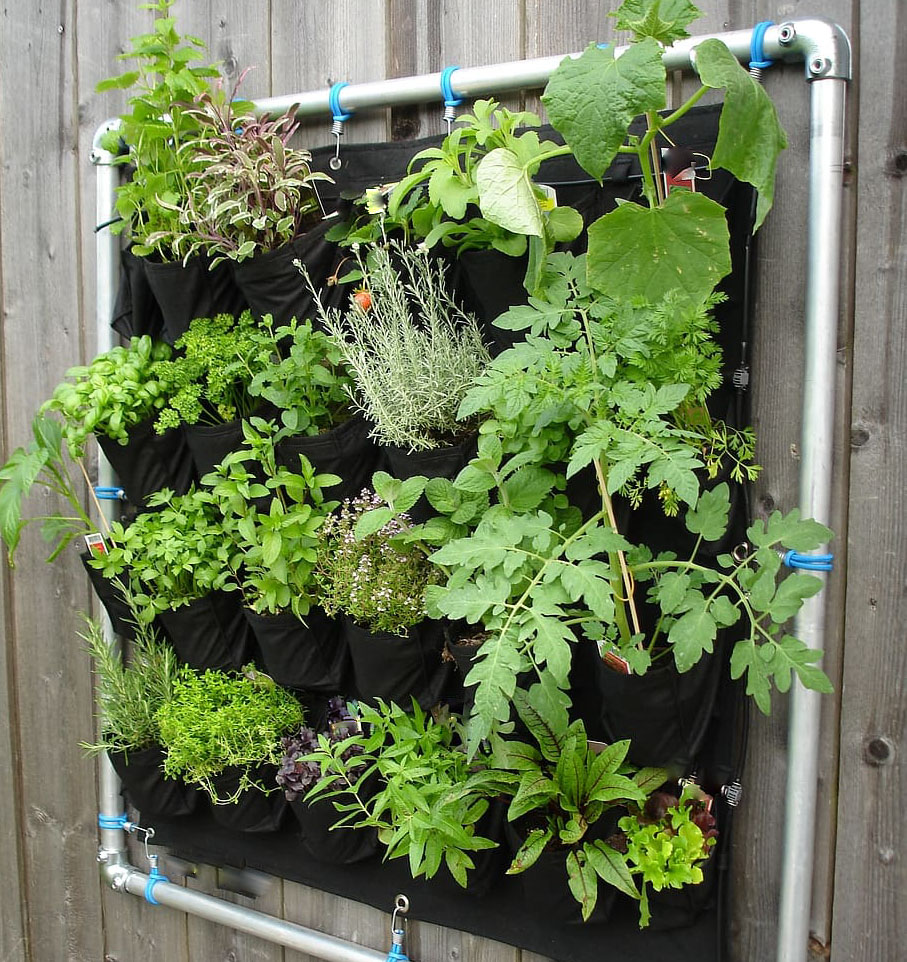 Vertical Herb Garden